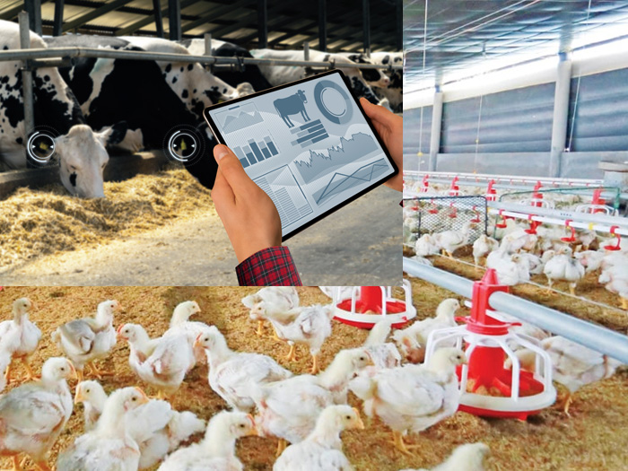 Các mô hình nông nghiệp công nghệ cao ở Việt Nam hiện nay