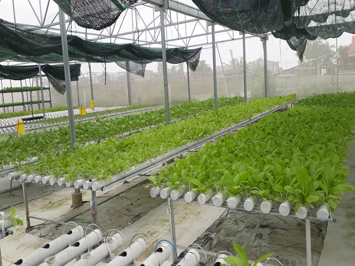 Tại sao phát triển nông nghiệp công nghệ cao là cần thiết?