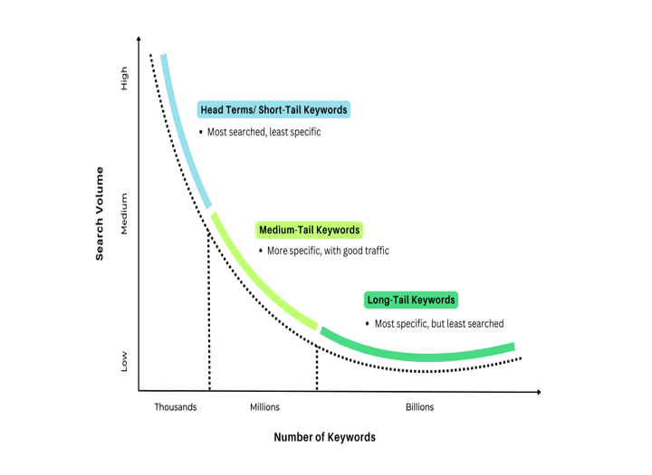 So sánh seed keywords và long tail keywords trong SEO