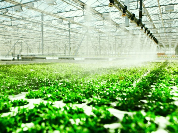 Ứng dụng công nghệ cao trong trồng trọt và các giải pháp chính