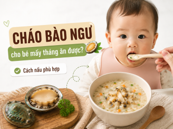 Tác giả Đoàn Gia Ánh Nguyệt