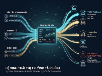 Hiệu quả thị trường tài chính được đánh giá theo tiêu chí nào?