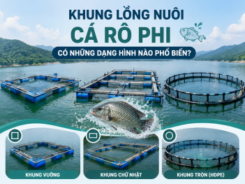 Các dạng khung lồng nuôi cá rô phi phổ biến