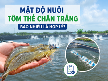 Kiến thức