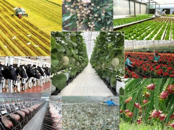 Các mô hình nông nghiệp công nghệ cao ở Việt Nam hiện nay - Kinh tế Phát triển