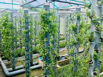 Các mô hình sản xuất nông nghiệp công nghệ cao tiết kiệm và hiệu quả - Kinh tế Phát triển