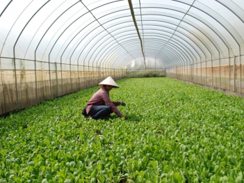 Mô hình trồng trọt công nghệ cao giúp tối ưu năng suất - Kinh tế Phát triển