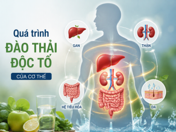 Tác giả Châu Thanh Hải Yến