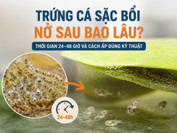 Kiến thức