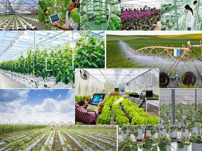 nông nghiệp ứng dụng công nghệ cao
