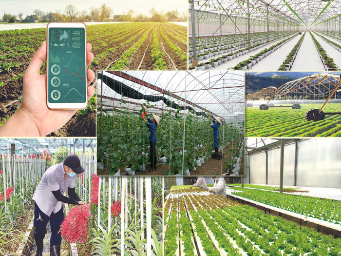 Tại sao phát triển nông nghiệp công nghệ cao là cần thiết? - Kinh tế Phát triển